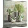 Indoor Garden Gray-Danhui Nai-Mounted Art Print