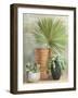 Indoor Garden II-Danhui Nai-Framed Art Print