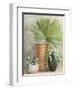 Indoor Garden II-Danhui Nai-Framed Art Print