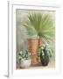 Indoor Garden II-Danhui Nai-Framed Art Print