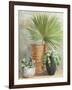 Indoor Garden II-Danhui Nai-Framed Art Print