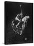 Indoor Polo at the Armory-Gjon Mili-Stretched Canvas