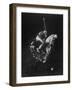 Indoor Polo at the Armory-Gjon Mili-Framed Photographic Print