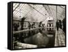 Indoor Swimming Pool-null-Framed Stretched Canvas