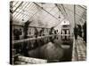 Indoor Swimming Pool-null-Stretched Canvas
