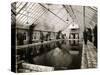 Indoor Swimming Pool-null-Stretched Canvas