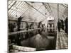 Indoor Swimming Pool-null-Mounted Photographic Print