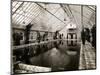 Indoor Swimming Pool-null-Mounted Photographic Print