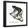 Indri (Indri Indri), Lemur, Mammals-Encyclopaedia Britannica-Framed Poster