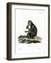 Indri-null-Framed Giclee Print