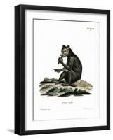 Indri-null-Framed Giclee Print