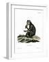 Indri-null-Framed Giclee Print