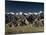 Indus Valley and Stok-Kangri Massif, Leh, Ladakh, Indian Himalayas, India-Jochen Schlenker-Mounted Photographic Print