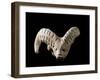 Indus Valley Civilization : Head of a Goat, Bronze Age-null-Framed Photographic Print