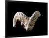 Indus Valley Civilization : Head of a Goat, Bronze Age-null-Framed Photographic Print