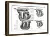 Industraial Casters-null-Framed Art Print