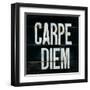 Industrail Chic Carpe Diem-Arnie Fisk-Framed Art Print