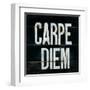 Industrail Chic Carpe Diem-Arnie Fisk-Framed Art Print