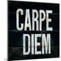 Industrail Chic Carpe Diem-Arnie Fisk-Mounted Art Print