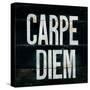 Industrail Chic Carpe Diem-Arnie Fisk-Stretched Canvas