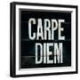 Industrail Chic Carpe Diem-Arnie Fisk-Framed Art Print