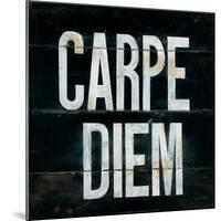 Industrail Chic Carpe Diem-Arnie Fisk-Mounted Art Print