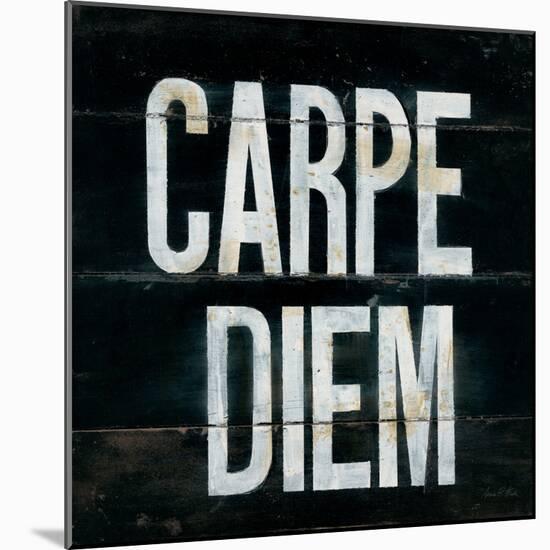 Industrail Chic Carpe Diem-Arnie Fisk-Mounted Art Print