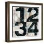 Industrial Chic Numbers-Arnie Fisk-Framed Art Print