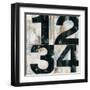 Industrial Chic Numbers-Arnie Fisk-Framed Art Print