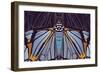 Industrial Iris-Belen Mena-Framed Giclee Print