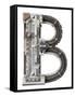 Industrial Metal Alphabet Letter B-donatas1205-Framed Stretched Canvas