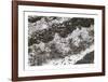 Industrial Nature - Ebb-Chris Dunker-Framed Limited Edition