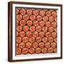 Brown Frame