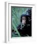 Infant Chimpanzee, Gombe National Park, Tanzania-Kristin Mosher-Framed Photographic Print