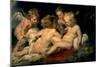 Infant Christ with John the Baptist and Two Angels, 1615-1620-Peter Paul Rubens-Mounted Giclee Print