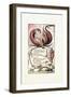 Infant Joy, 1789-William Blake-Framed Giclee Print