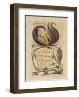 Infant Joy. from 'songs of Innocence'-William Blake-Framed Giclee Print