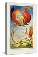 Infant Joy: Plate 25 from Songs of Innocence and of Experience C.1815-26-William Blake-Stretched Canvas