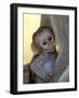 Infant Vervet Monkey (Chlorocebus Aethiops) Nursing, Kruger National Park, South Africa, Africa-null-Framed Photographic Print