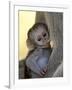 Infant Vervet Monkey (Chlorocebus Aethiops) Nursing, Kruger National Park, South Africa, Africa-null-Framed Photographic Print