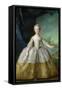 Infanta Isabelle de Bourbon-Parme 1749-Jean-Marc Nattier-Framed Stretched Canvas