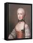Infanta Maria Ludovica, Daughter of Charles III of Spain and Wife of Leopold II (1747-92) Holy Roma-Jean-Etienne Liotard-Framed Stretched Canvas