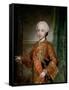 Infante Francisco Javier of Spain, 1767-Anton Raphael Mengs-Framed Stretched Canvas