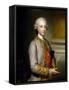 Infante Gabriel of Spain, 1765-1767-Anton Raphael Mengs-Framed Stretched Canvas