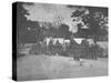 Infantry Company Group Photo During the American Civil War-Stocktrek Images-Stretched Canvas