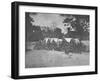 Infantry Company Group Photo During the American Civil War-Stocktrek Images-Framed Photographic Print