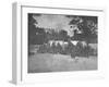 Infantry Company Group Photo During the American Civil War-Stocktrek Images-Framed Photographic Print