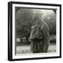 Infantry Fitted with the Latest Gas Marks and Steel Helmets, World War I, 1915-1918-null-Framed Photographic Print