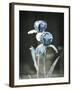 Infinite Possibilities-Christy Ann-Framed Giclee Print