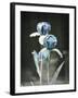 Infinite Possibilities-Christy Ann-Framed Giclee Print